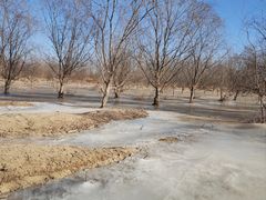 -永定河休闲森林公园