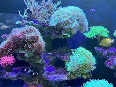 -海合安成都极地海洋公园
