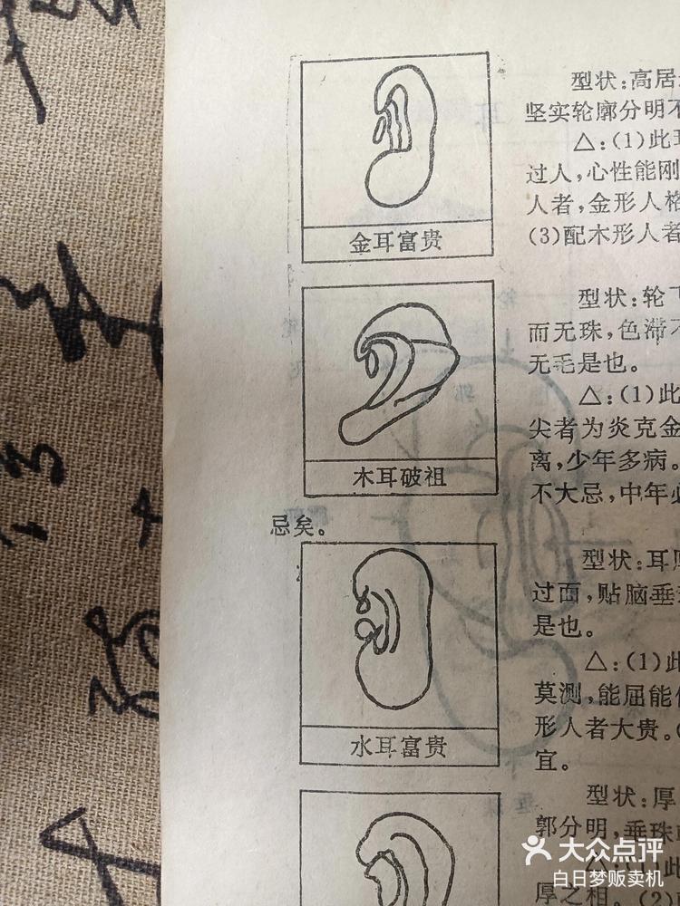 耳朵向前罩面相图片