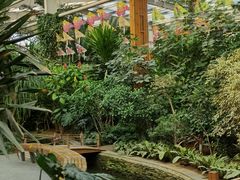 -南宫五洲植物乐园