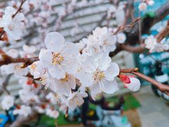 -长春市南湖公园