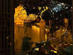 -叶叶菩提·晋福宫