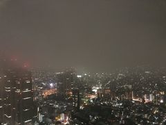 -东京都厅舍