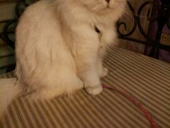 -广州迷途主题旅馆(海珠广场店)