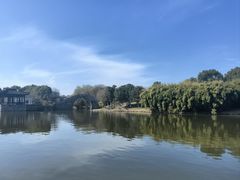 -绍兴镜湖国家城市湿地公园
