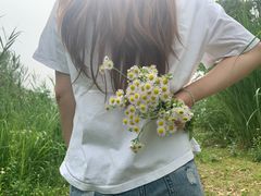 -白鹭湾湿地公园