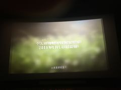 -红星电影世界上海张江绿地店