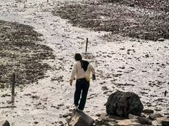 -碧海金沙