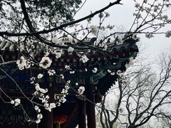 -恭王府博物馆