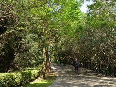 -苏州河梦清园环保主题公园