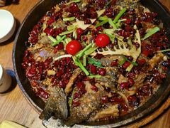 -老板恋上鱼(恒隆广场店)