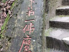 -大金鹰园