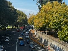 -墨尔本皇家植物园