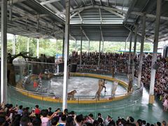 -泉州海丝野生动物世界