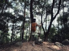 -火炉山森林公园