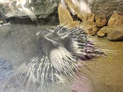 -青青世界