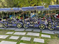 -昆山城市生态森林公园