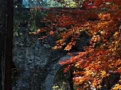 -香山公园