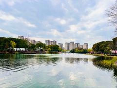 -新江湾城公园