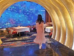 -迪拜帆船酒店海底餐厅