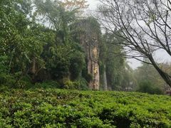 -峨眉山报国寺