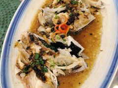 榄角蒸鱼头-六婶西关小厨(光塔路店)