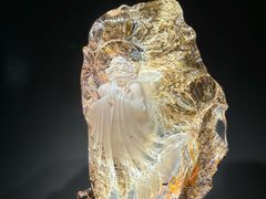 -杭州工艺美术博物馆