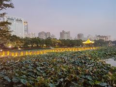 -南宁南湖公园
