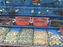 -瑶记海鲜餐厅(西涌店)