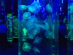 -成都浩海立方海洋公园