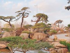 -罗红摄影艺术馆