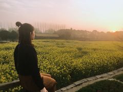 -乌镇东栅景区