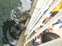 -渔岛海洋度假区