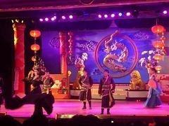 -金东尼人妖秀