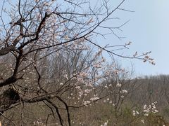 -京东石林峡风景区