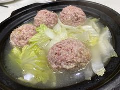 -丁老爷子苏香圆