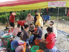 -从化深英荔枝黄皮龙眼采摘园