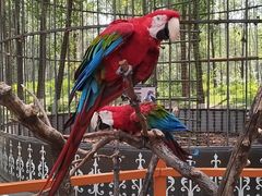 -北京野生动物园