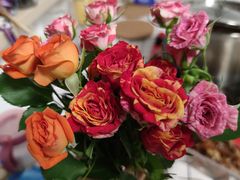 -双季花艺园艺市场(浦东店)