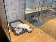 -G+KITCHEN(龙湖狮山天街店)