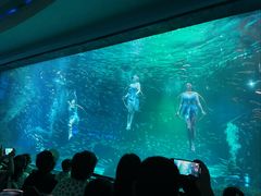 -海合安成都极地海洋公园
