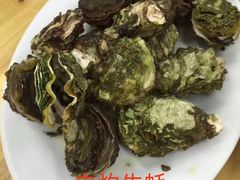 白灼生蚝-阿古海鲜大排档(青澳湾自然之门六年好店)