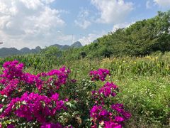-万峰林风景区