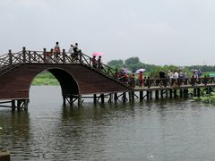 -荷塘月色湿地公园·向阳花洲