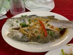 -蛇口康乐快餐鱼仔档(翠苑小区店)