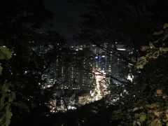 -莲洞本家
