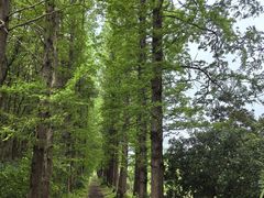 -同里国家湿地公园