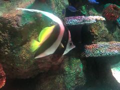 -沈阳海洋探索中心