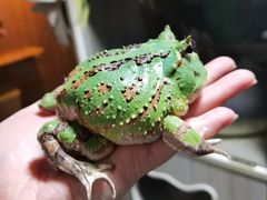 -藦茜花园宠物主题亲子互动体验馆(国顺东路店)