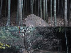 -穹窿山景区